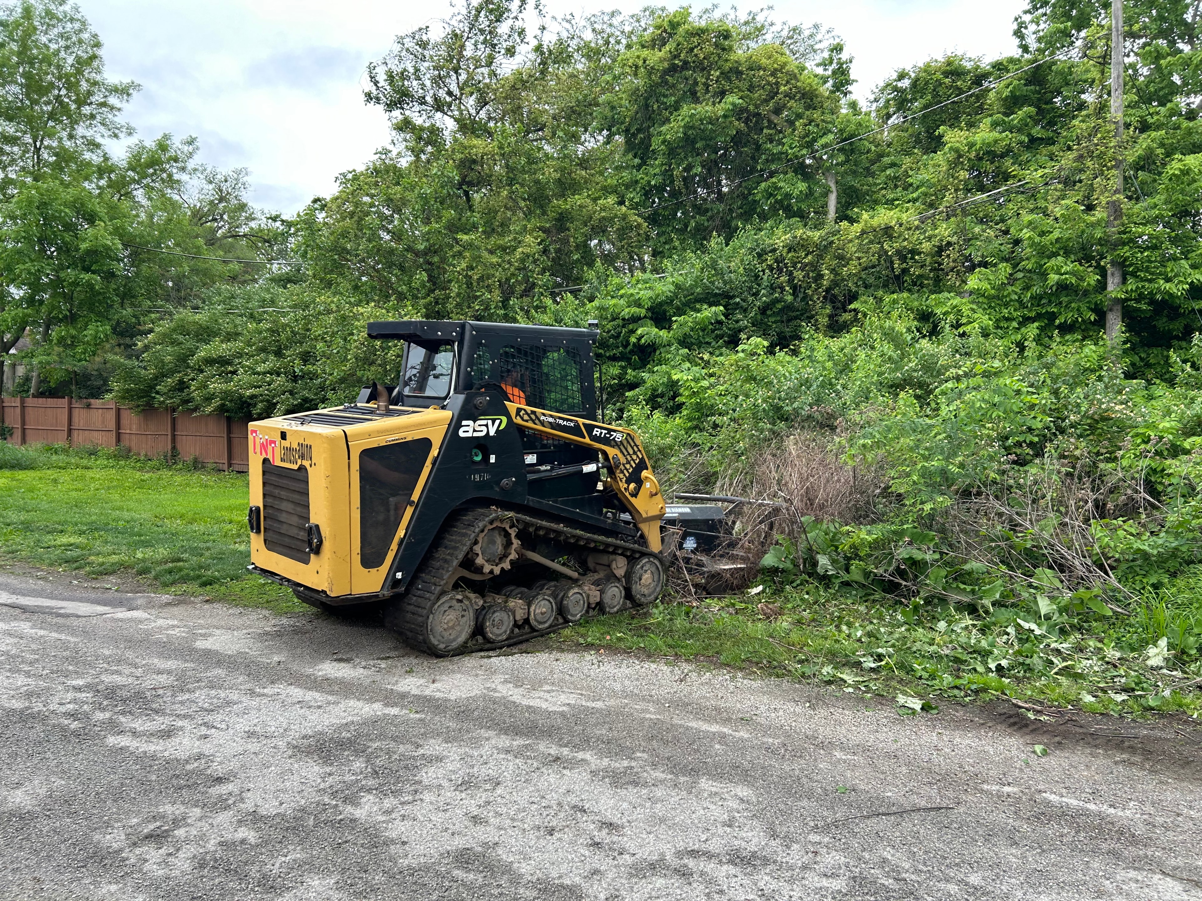 Brush & Tree Cleanup
