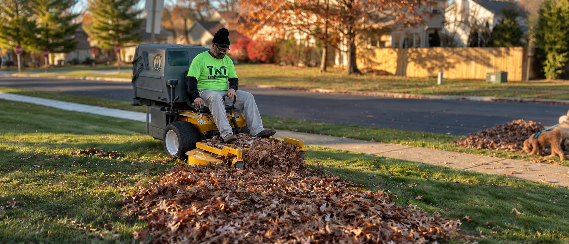 Leaf Removal & Leaf Vacuuming