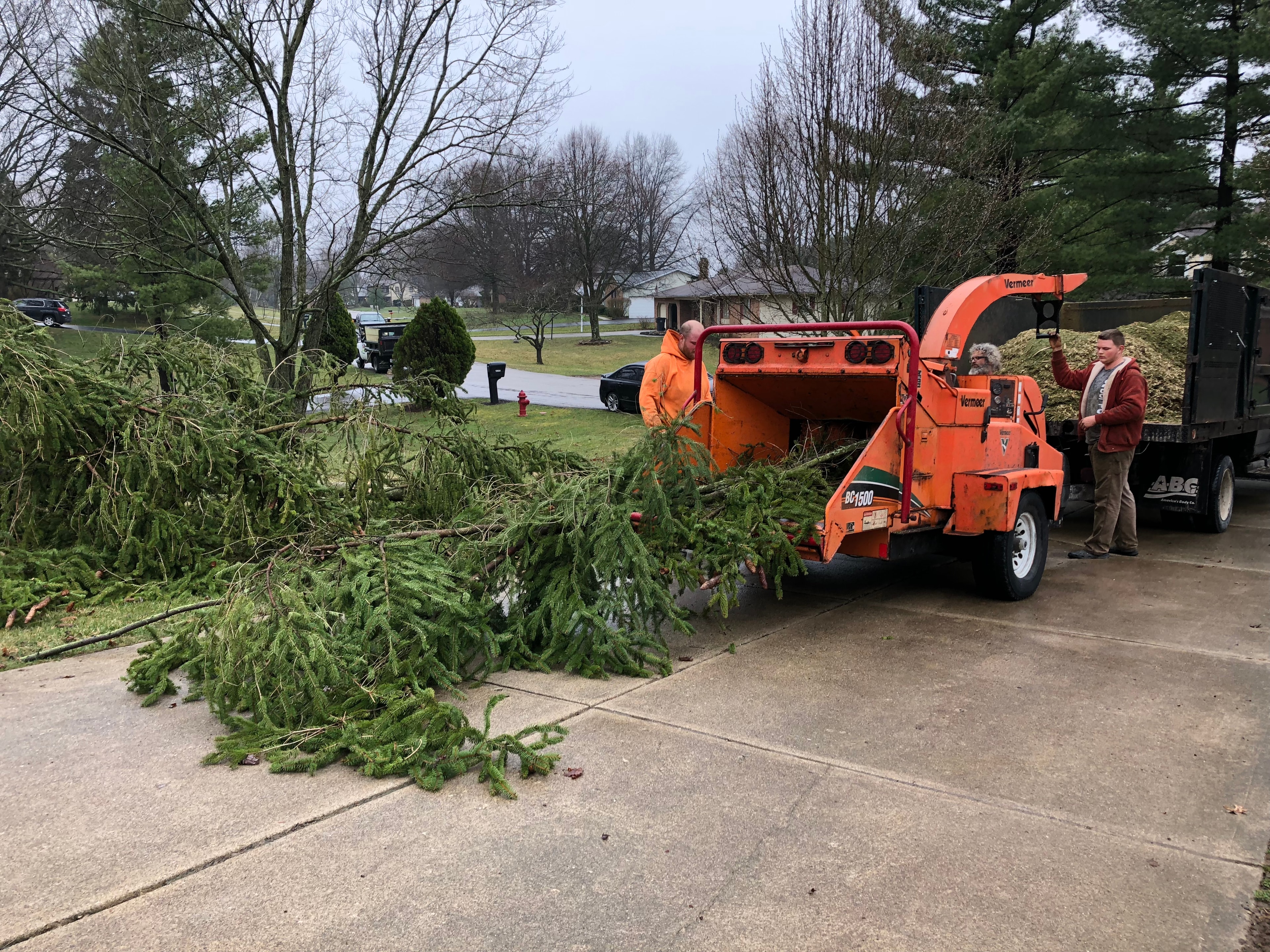 Brush & Tree Cleanup